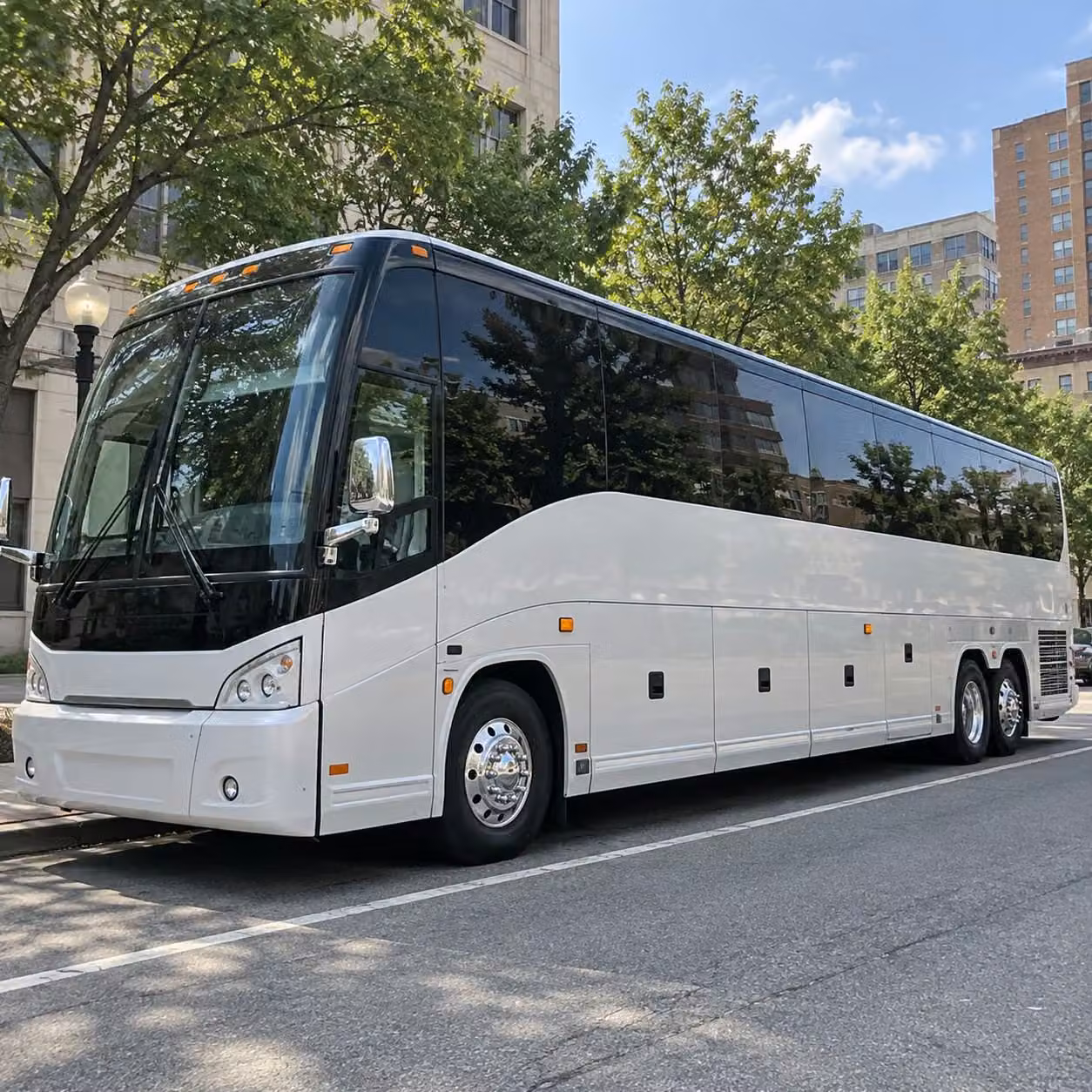 west haven sports team fan transportation services